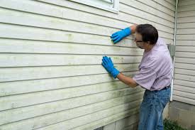 Best Siding Painting and Refinishing  in Chieand, FL